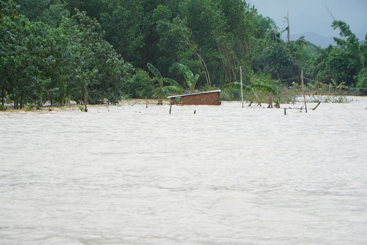 Khu vực đồng ruộng ở thôn Túy Loan Tây bị ngập sâu trong nước lũ - Ảnh: LÊ TRUNG