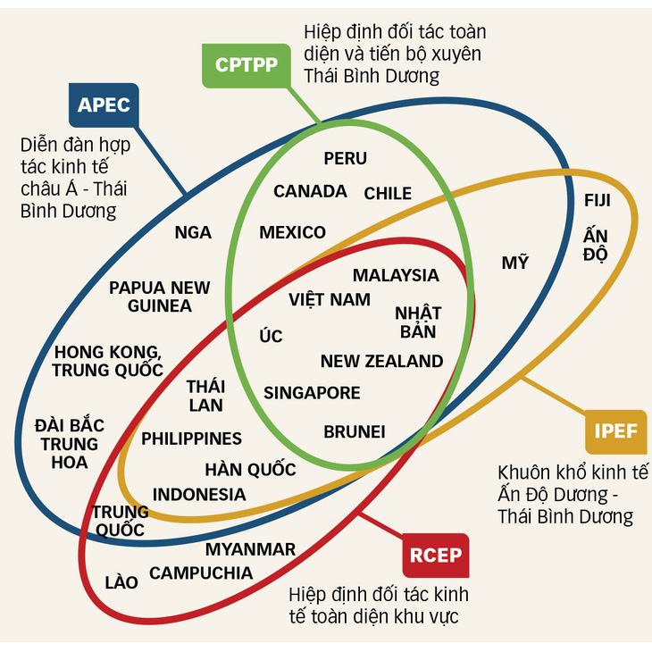 Sự đan xen giữa APEC và IPEF cùng các hiệp định thương mại khu vực - Đồ họa: TẤN ĐẠT