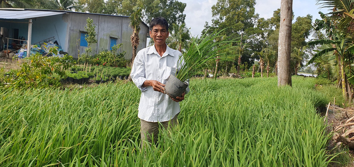 Nông dân Trần Văn Triệu là người trồng lúa trong chậu để phục vụ tại Festival lúa gạo quốc tế - Ảnh: LÊ DÂN