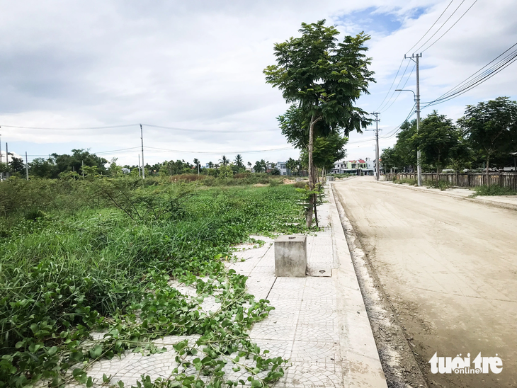 Hiện trạng bừa bộn, cỏ mọc um tùm tại dự án khu dân cư số 1 mở rộng, phường Điện An, thị xã Điện Bàn - Ảnh: V.V. 