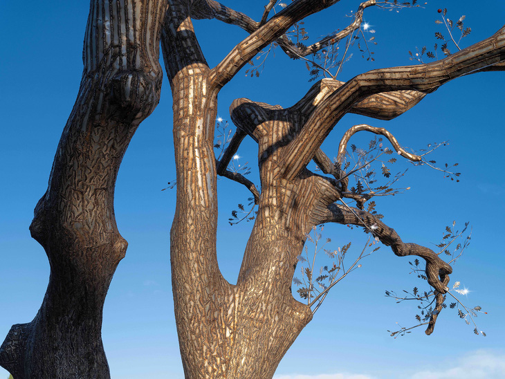 Thân cây được bọc lại bằng thép không gỉ nhưng vẫn thể hiện được sức sống của cây - Ảnh: NVCC