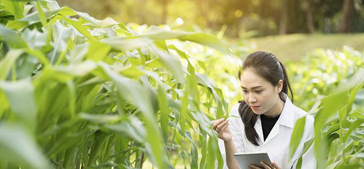 Cơ hội việc làm dành cho các kỹ sư ngành nông nghiệp - Ảnh: Internet