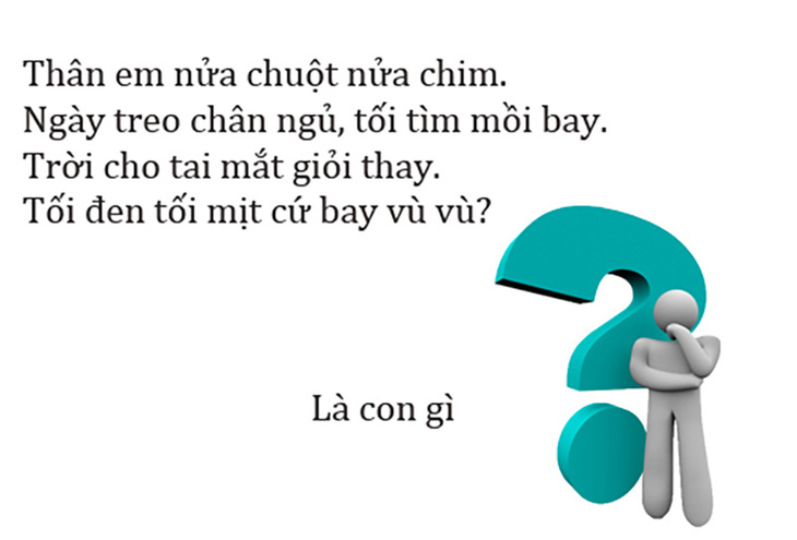 Câu đố hack não: Cái gì hai đầu mà không có đuôi? - Ảnh 4.