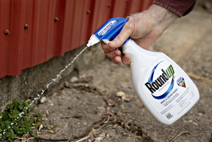Thuốc diệt cỏ Roundup của Monsanto - Ảnh: REUTERS