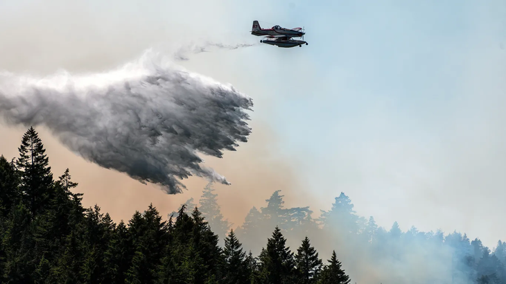 Máy bay tham gia chữa cháy rừng gần Port Alberni, British Columbia, ngày 6-6-2023 - Ảnh: James MacDonald/Bloomberg/Getty Images