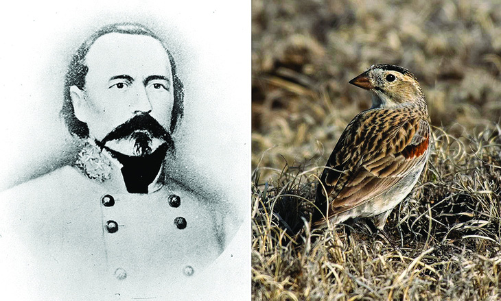 John P. McCown, một viên tướng của Hợp bang Mỹ, và chim từng được đặt theo tên ông McCown's longspur (tên mới là thick-billed longspur). Ảnh: Thư viện Quốc hội Mỹ/GETTY IMAGES