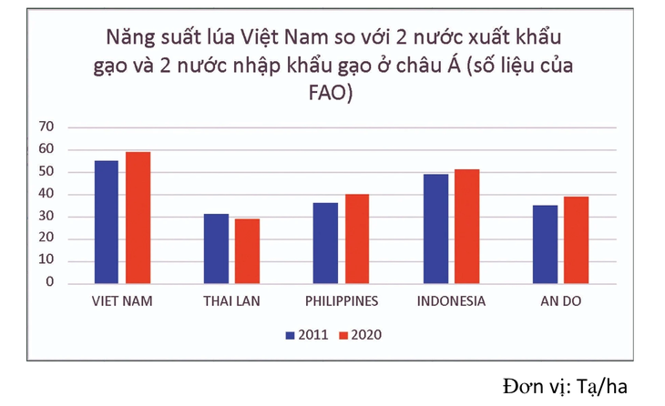 Năng suất lúa của Việt Nam vượt trội so với các nước trong khu vực châu Á