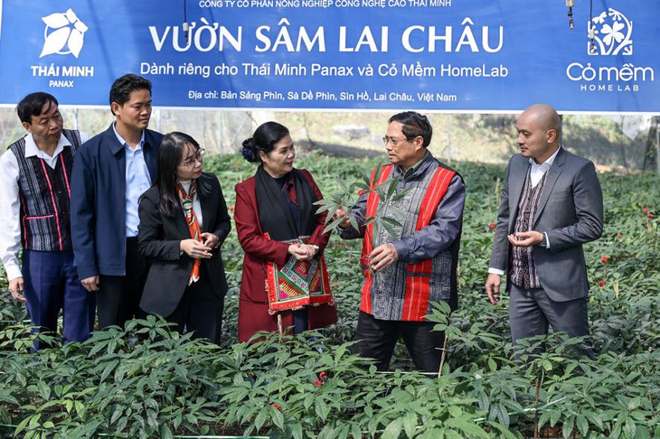Thủ tướng Phạm Minh Chính thăm vườn sâm Lai Châu tại xã Sà Dề Phìn - Ảnh: NHẬT BẮC