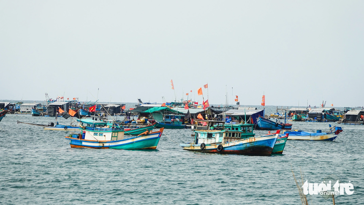 Đông đúc tàu cá về neo đậu ở khu vực lăng Ông Nam Hải (ấp Thiên Tuế, xã Lại Sơn) tham dự lễ hội Nghinh Ông huyện Kiên Hải - Ảnh: CHÍ CÔNG