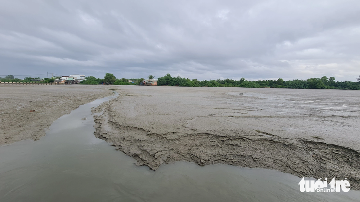 Nguyên một đoạn sông lớn trở thành đầm lầy vì bùn đất xâm chiếm sau khi cảng Quy Nhơn kết thúc việc xả và bơm vật chất nạo vét tại khu vực 4, phường Nhơn Bình