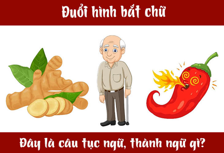 IQ cao có đoán được đây là câu tục ngữ, thành ngữ gì? (P10)- Ảnh 3.