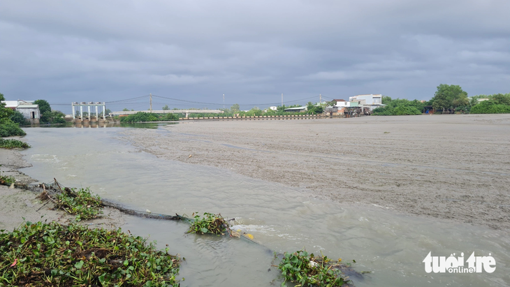 Dòng chảy sông Hà Thanh bị thu hẹp quá mức vì bùn đất tràn ngập cả một khu vực sông rộng lớn - Ảnh: LÂM THIÊN