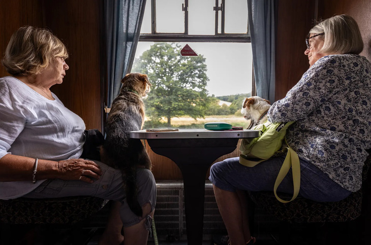 Hình ảnh hai người phụ nữ và hai con chó đang ngồi trong lòng họ cùng nhìn qua ô cửa một toa tàu ở hạt Devon, miền tây nam nước Anh đã là khoảnh khắc thật bình dị, yên ả mà tay máy Alexander Swyer muốn ghi lại - Ảnh: THE GUARDIAN