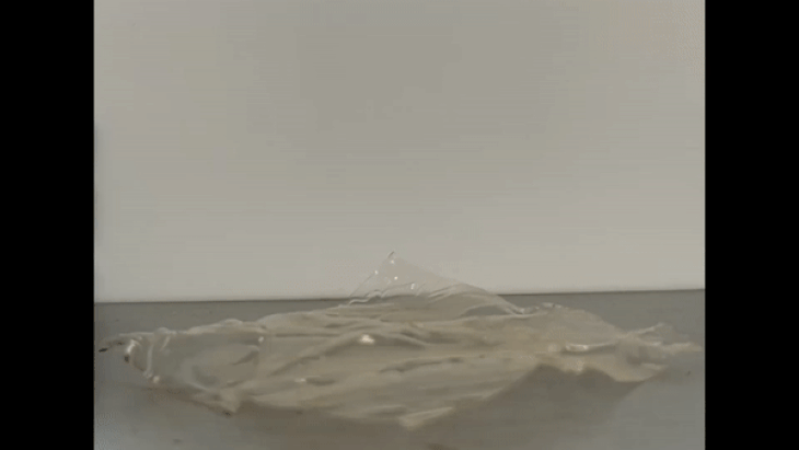 A piece of VPR plastic can return to its original shape - Photo: University of Tokyo