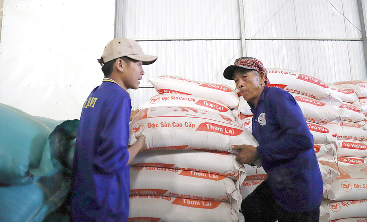 Chế biến gạo hữu cơ xuất khẩu tại một nhà máy ở huyện Phú Tân, An Giang - Ảnh: CHÍ QUỐC