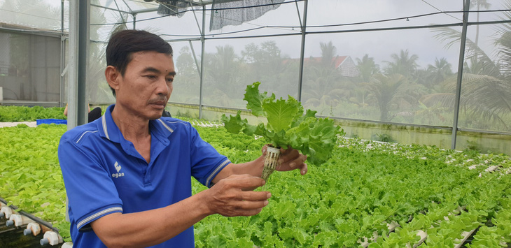 Ông Phạm Văn Biển, TP Cà Mau (tỉnh Cà Mau) kiểm tra vườn rau thủy canh - Ảnh: THANH HUYỀN