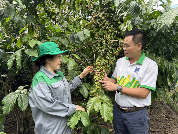 Mỹ tài trợ hơn 100 tỉ đồng để hỗ trợ nông dân Việt Nam sử dụng phân bón đúng- Ảnh 2.