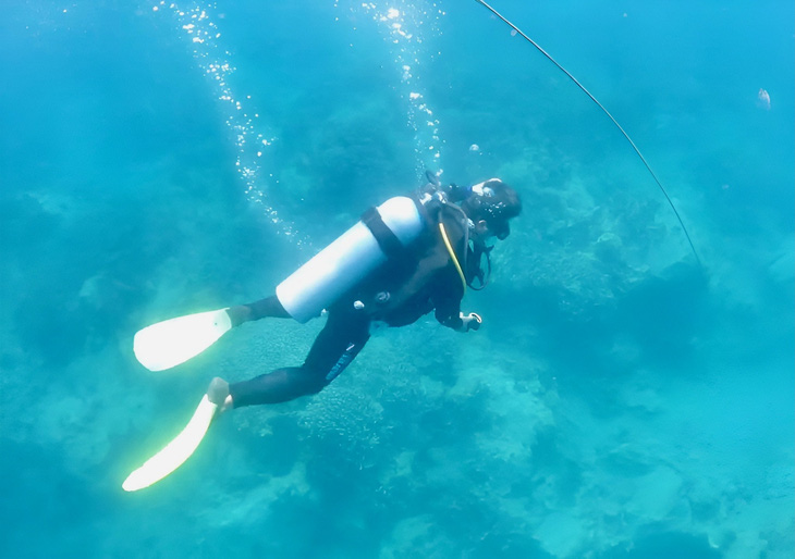 Nha Trang đề xuất bốn nơi thí điểm lặn biển - Ảnh: BQL vịnh Nha Trang