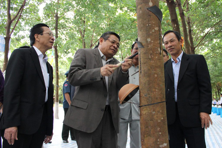 Nguyên phó thủ tướng Campuchia Yim Chhay Ly (người giữa) và ông Hai Thuận (bìa phải) dự lễ mở miệng cạo một vườn cây cao su VRG tại Campuchia năm 2015 - Ảnh: VRG