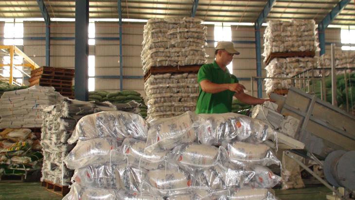 Đóng gói gạo xuất khẩu của doanh nghiệp tại tỉnh Đồng Tháp - Ảnh: ĐẶNG TUYẾT