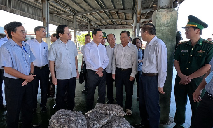 Phó thủ tướng Trần Lưu Quang khảo sát tại một cảng cá ở Bà Rịa - Vũng Tàu - Ảnh: Đ.H