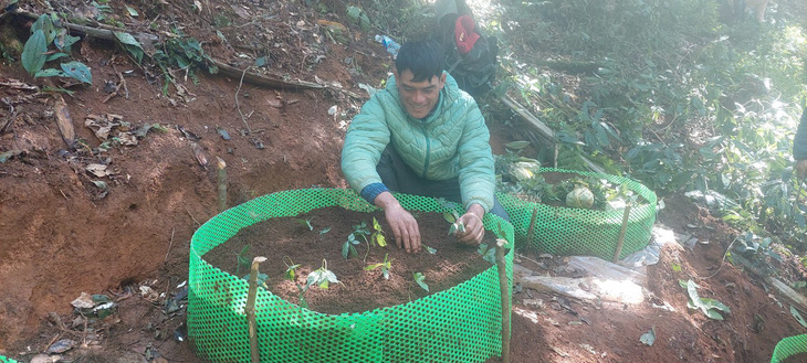 Người dân vui mừng trồng những cây sâm được Thủ tướng tặng - Ảnh: UBND huyện Tu Mơ Rông