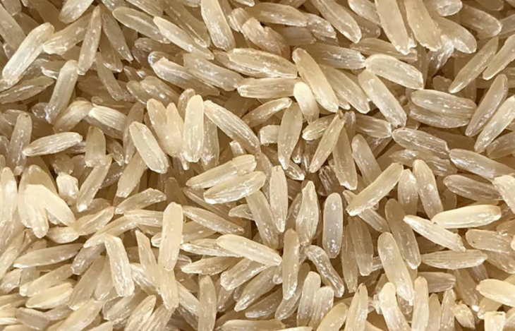 Nông dân trồng giống lúa ngoại nhập để tăng năng suất, Thái Lan lo gạo Thái mất đi độ nhận diện - Ảnh: BANGKOK POST