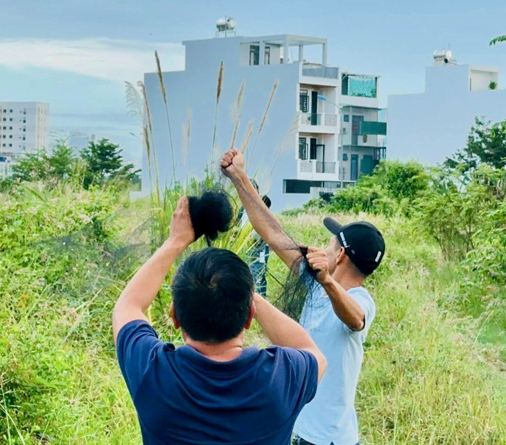Nhiều đối tượng giăng lưới ngay trong khuôn viên khu dân cư, nhà yến - Ảnh: Công ty Yến sào Khánh Hòa cung cấp