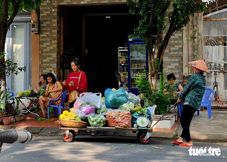 Cô Lan và con gái (áo đỏ) kéo xe rau đi bán dạo - Ảnh MẠNH DŨNG