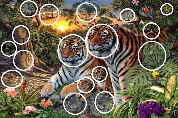 Mắt 10/10 mới thấy 17 con hổ trong tranh- Ảnh 2.