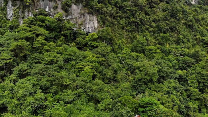 Quảng Bình có độ che phủ rừng lên đến hơn 68%, là một lợi thế trong việc bán tín chỉ carbon - Ảnh: QUỐC NAM