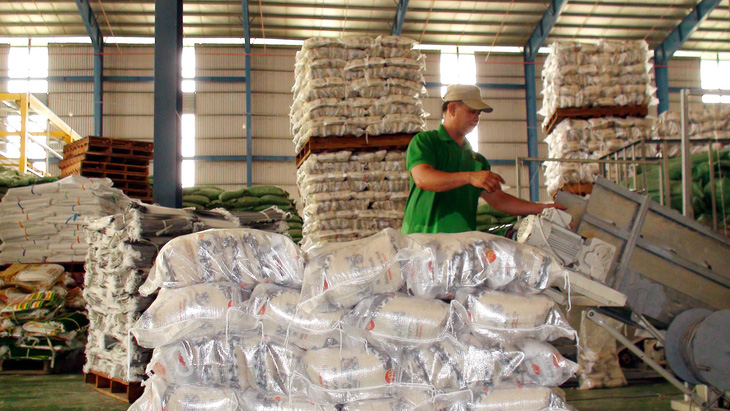 Đóng gói gạo xuất khẩu tại Đồng Tháp  - Ảnh: ĐẶNG TUYẾT