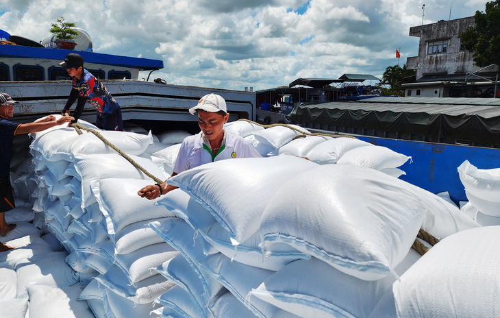 Ước cả năm 2023,  xuất khẩu gạo cả năm đạt trên 4 tỉ USD - Ảnh: BỬU ĐẤU