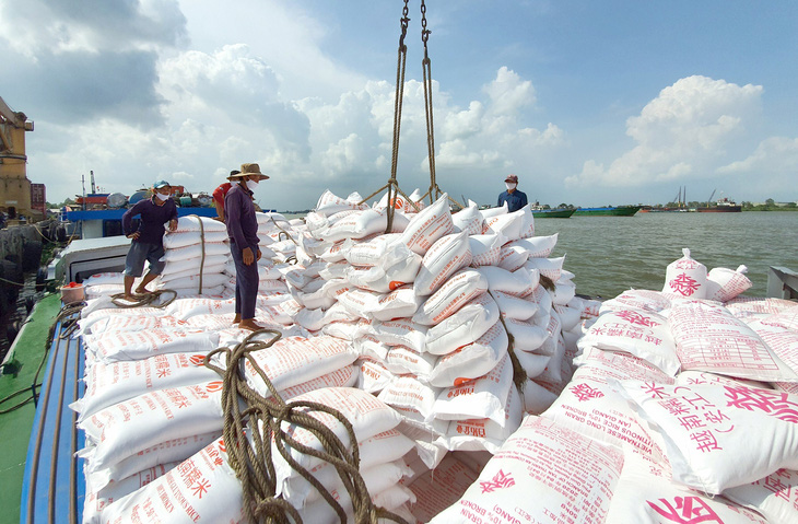 Gạo Việt đang ngày càng nâng tầm giá trị cao và tạo nên thương hiệu uy tín trên thế giới - Ảnh: CHÍ QUỐC