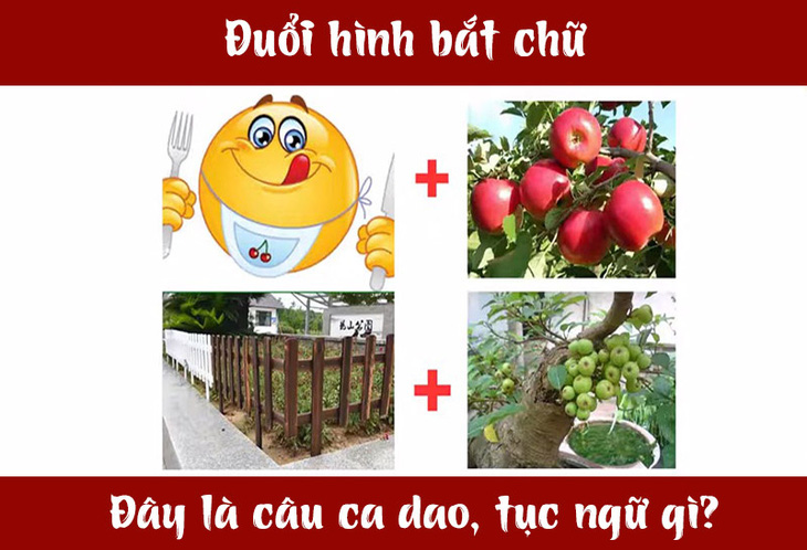 Câu ca dao, tục ngữ 'khó nhằn' này là gì? (P43)- Ảnh 3.