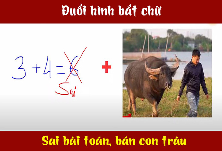 Câu ca dao, tục ngữ 'khó nhằn' này là gì? (P43)- Ảnh 2.