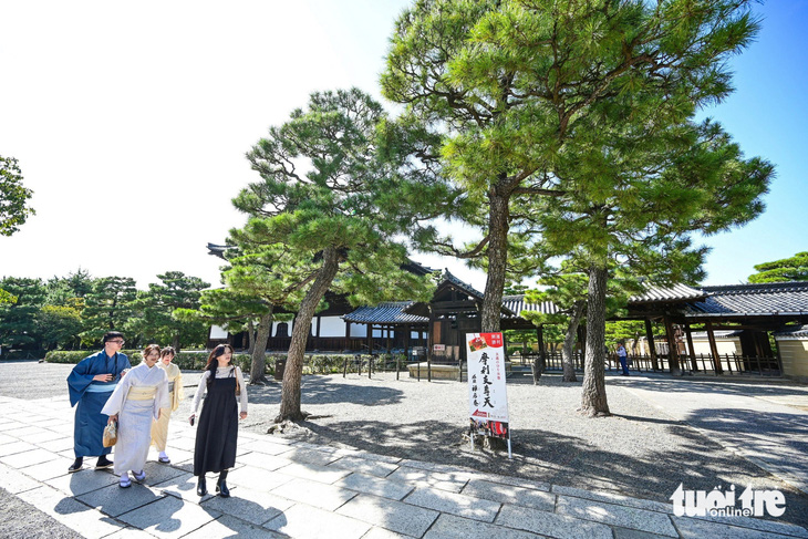 Du khách quốc tế tham quan một ngôi đền ở TP Kyoto, Nhật Bản - Ảnh: QUANG ĐỊNH