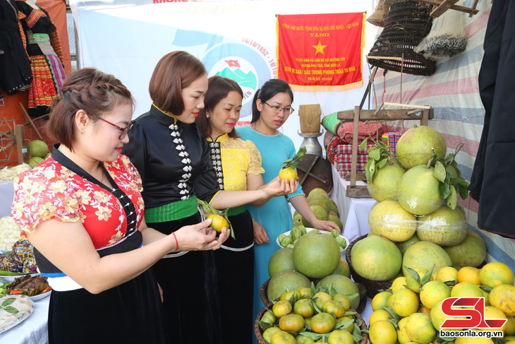 Xây dựng thương hiệu nông sản Phù Yên- Ảnh 1.