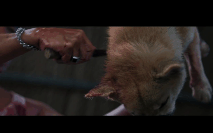 Phim Quỷ cẩu phản đối nạn giết mổ chó, có dùng chó thật để quay?