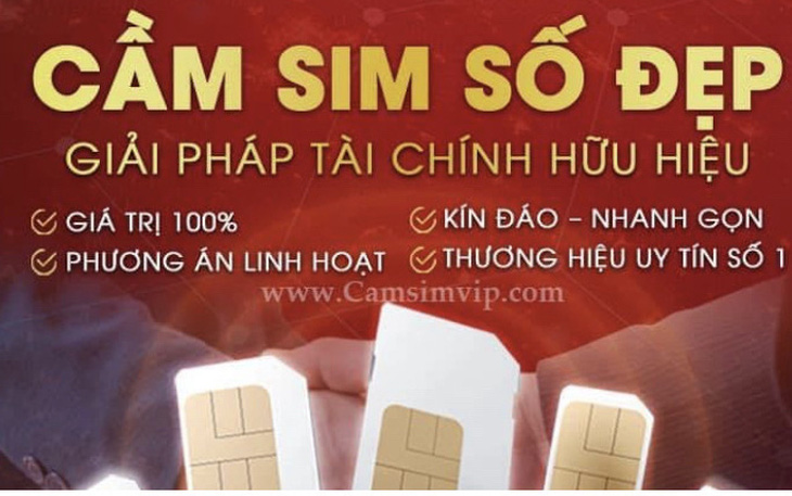 Nhiều sim số đẹp cơ quan nhà nước bị dịch vụ 'cầm sim' quấy nhiễu ngày đêm