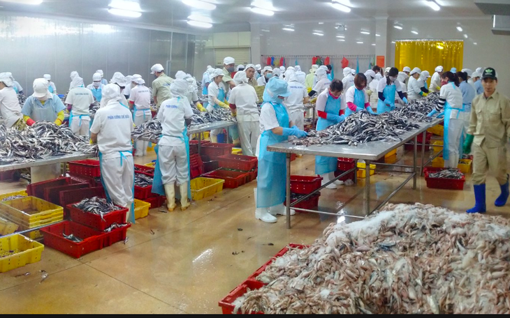 Xuất khẩu surimi và bột cá đặt mục tiêu 1 tỉ USD, kỳ vọng giúp ngành thủy sản vượt khó