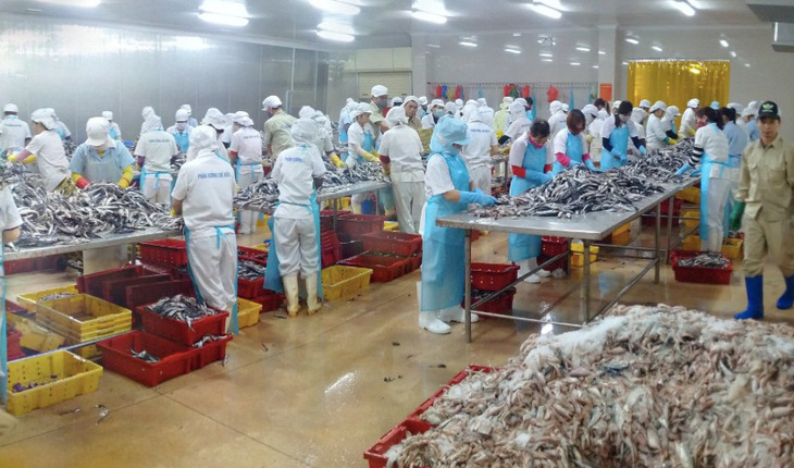Hải sản, phụ phẩm hải sản được sử dụng để sản xuất bột cá tại một doanh nghiệp - Ảnh: V.T.