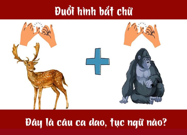 Câu ca dao, tục ngữ 'khó nhằn' này là gì? (P47)- Ảnh 3.