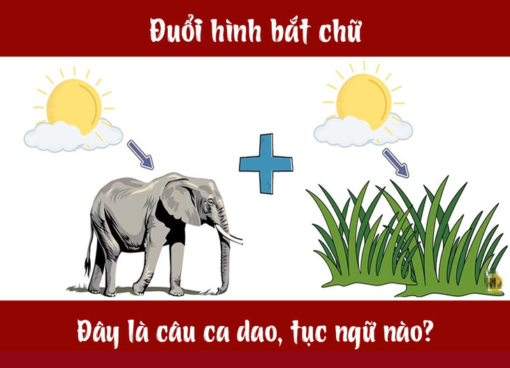 Câu ca dao, tục ngữ 'khó nhằn' này là gì? (P46)- Ảnh 1.