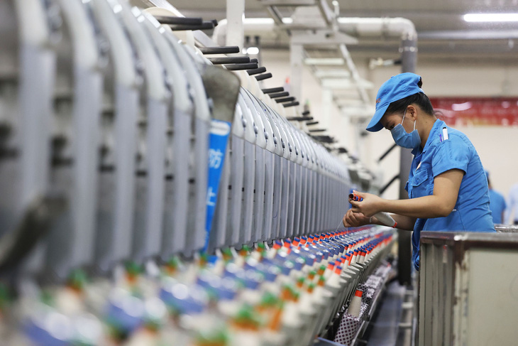 Công nhân đang làm việc tại nhà máy dệt Texhong Ngân Long Móng Cái (Quảng Ninh) - Ảnh: NGUYỄN KHÁNH
