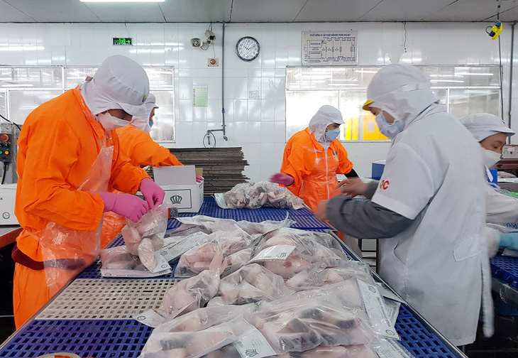 Dây chuyền sản xuất sản phẩm cá xuất khẩu tại tỉnh An Giang - Ảnh: BỬU ĐẤU