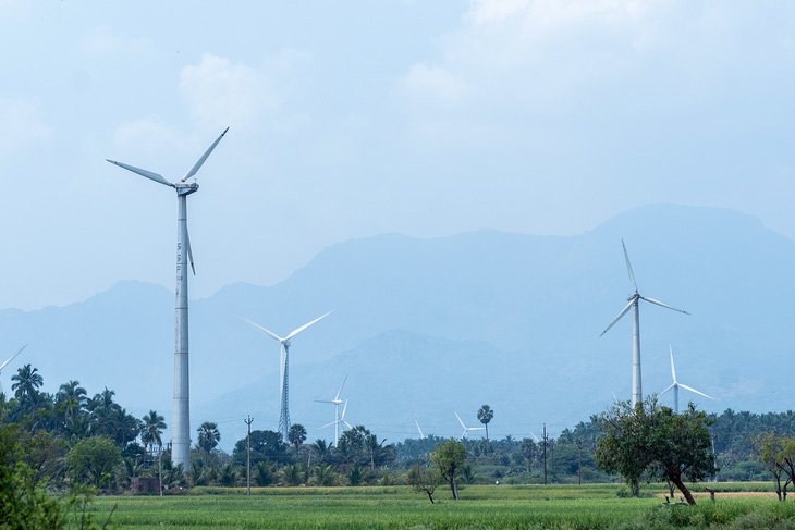 Một trong rất nhiều cánh đồng điện gió tại Tamil Nadu, Ấn Độ - Ảnh: MONGABAY