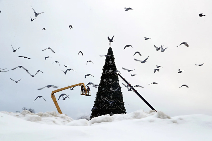 Sau một tuần tuyết rơi dày, phủ kín cả vùng thủ đô Matxcơva của Nga, những người công nhân đang tiếp tục hoàn thiện những khâu trang trí cuối cùng cho cây thông Noel để kịp thời gian đón lễ. Ảnh: EPA-EFE