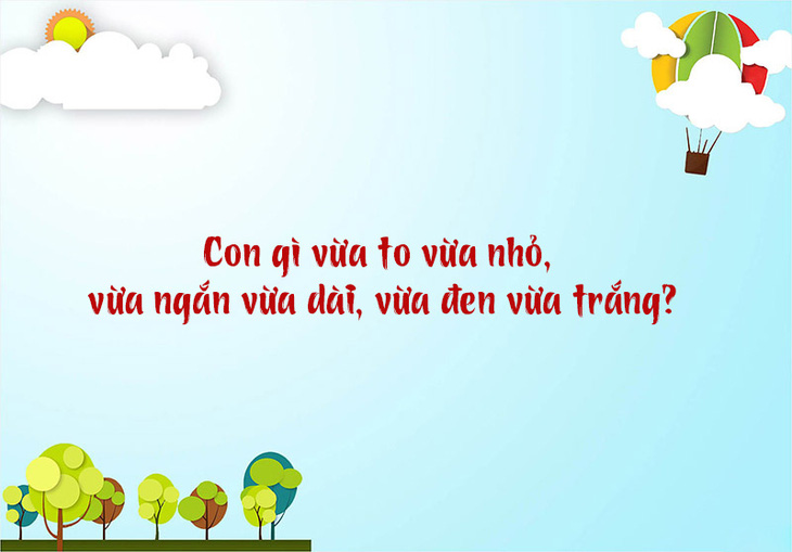 Câu đố hack não: Con gì lúc sinh ra là cái, lớn lên thành đực?- Ảnh 7.