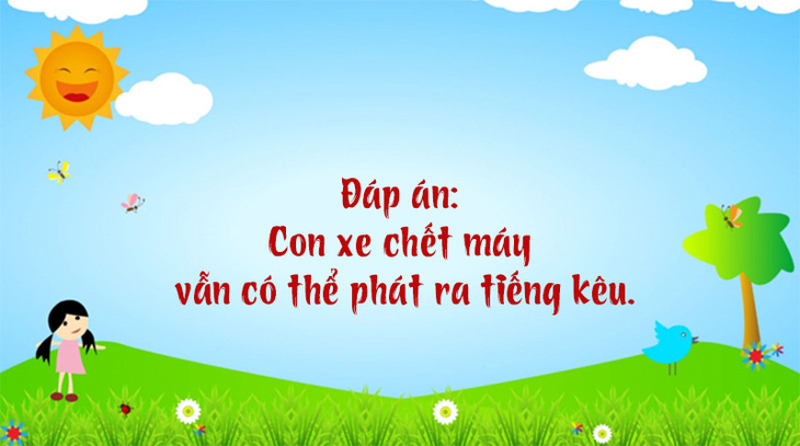 Câu đố hack não: Con gì lúc sinh ra là cái, lớn lên thành đực?- Ảnh 4.